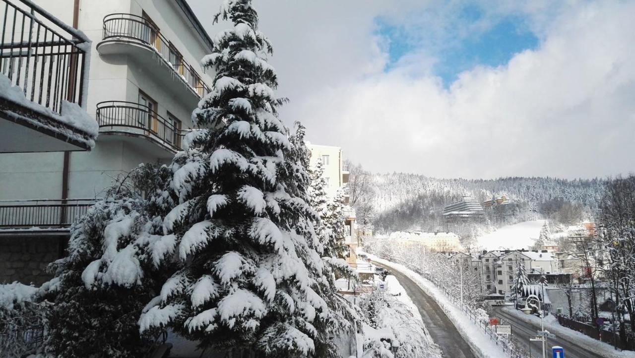 Domy Wczasowe Tryumfy Bed & Breakfast Krynica Zdroj Luaran gambar
